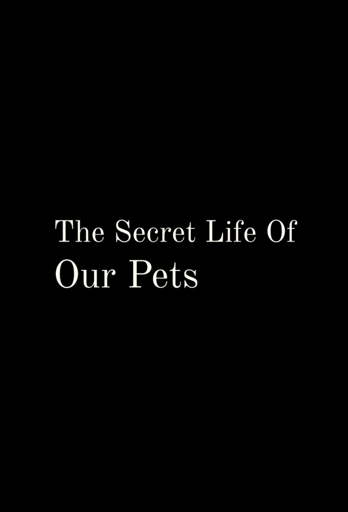 The Secret Life of Our Pets Image