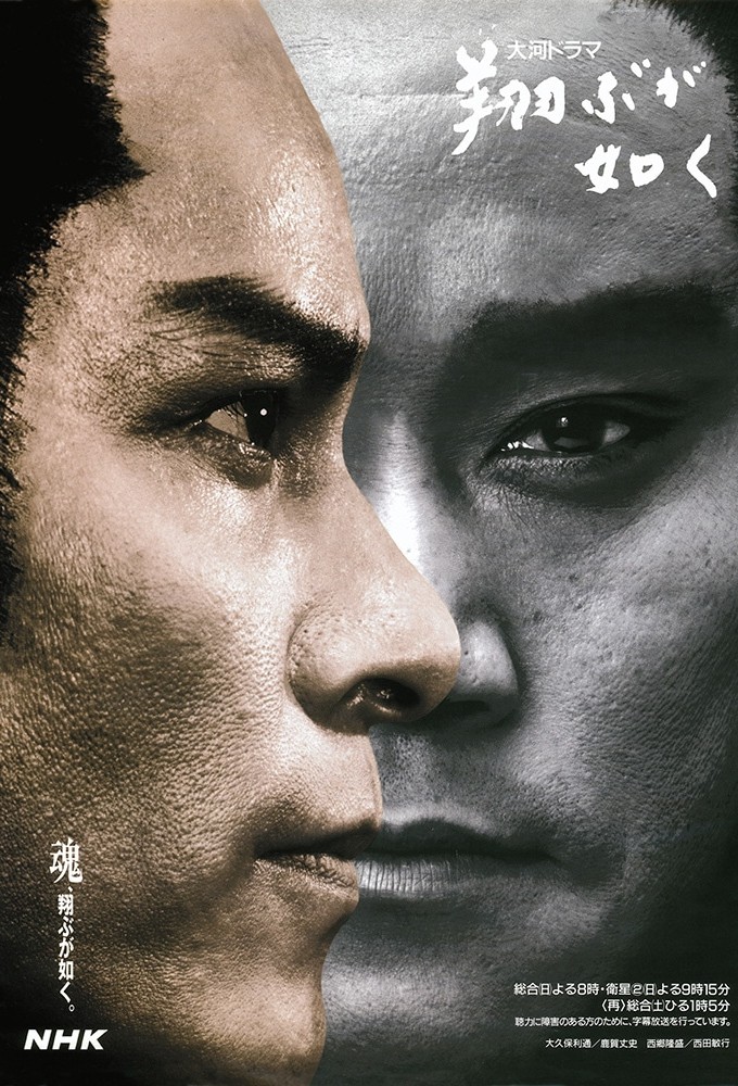 翔ぶが如く Image