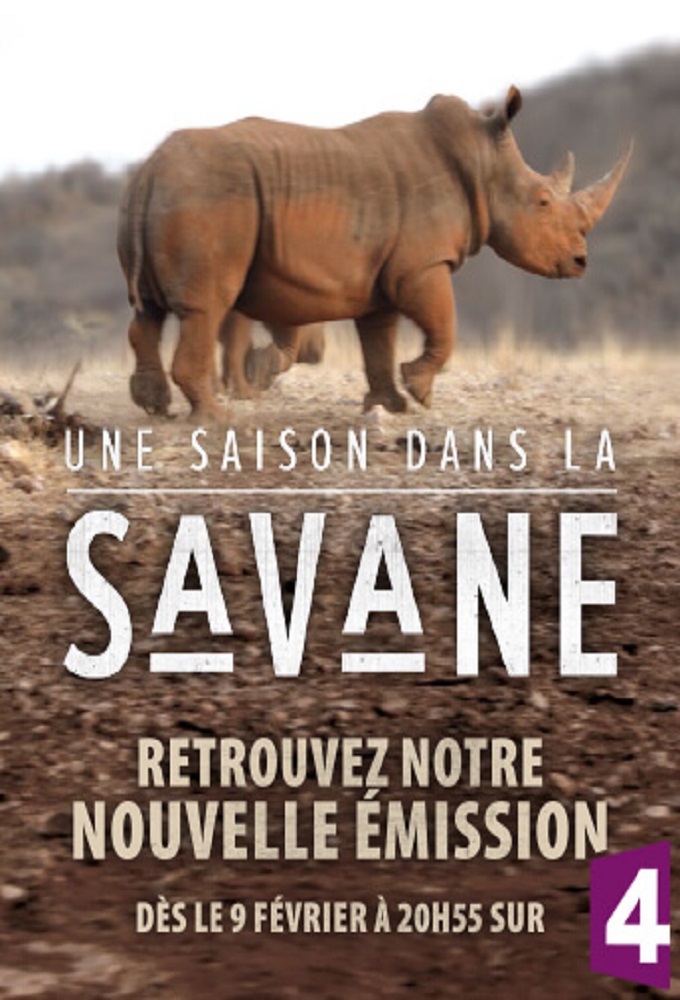 Une saison dans la savane Image