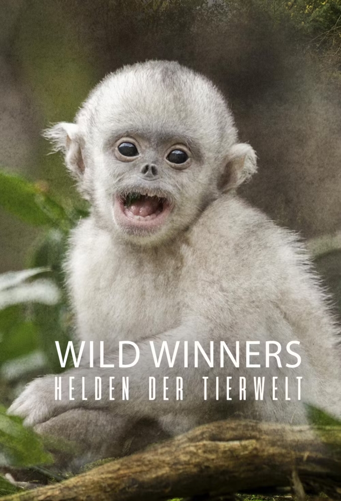 Wild Winners - Heroes of The Animal World Image