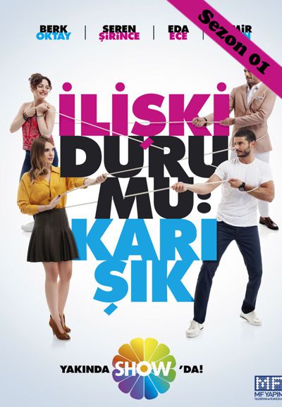 Relationship Status: It's Complicated series poster