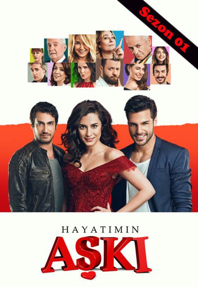 Love of My Life series poster