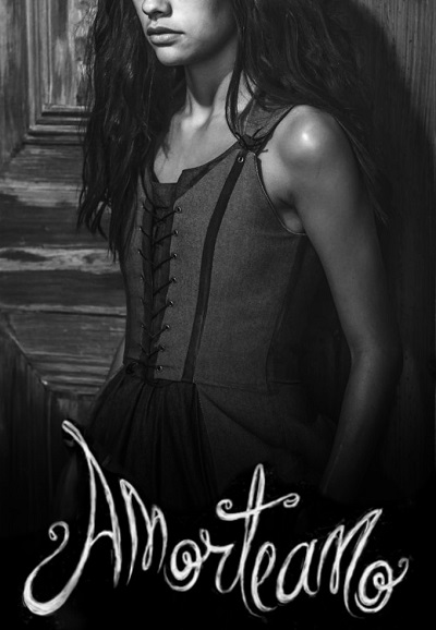 Amorteamo series poster