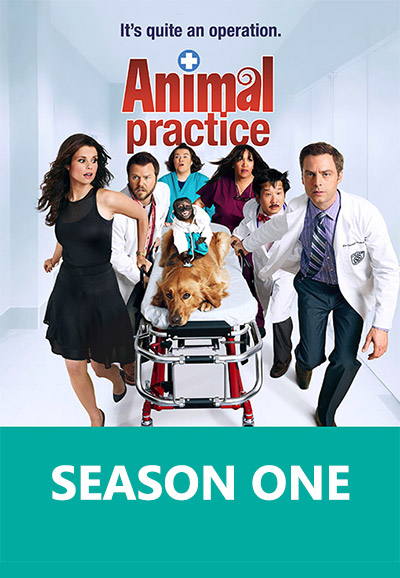 Animal Practice series poster