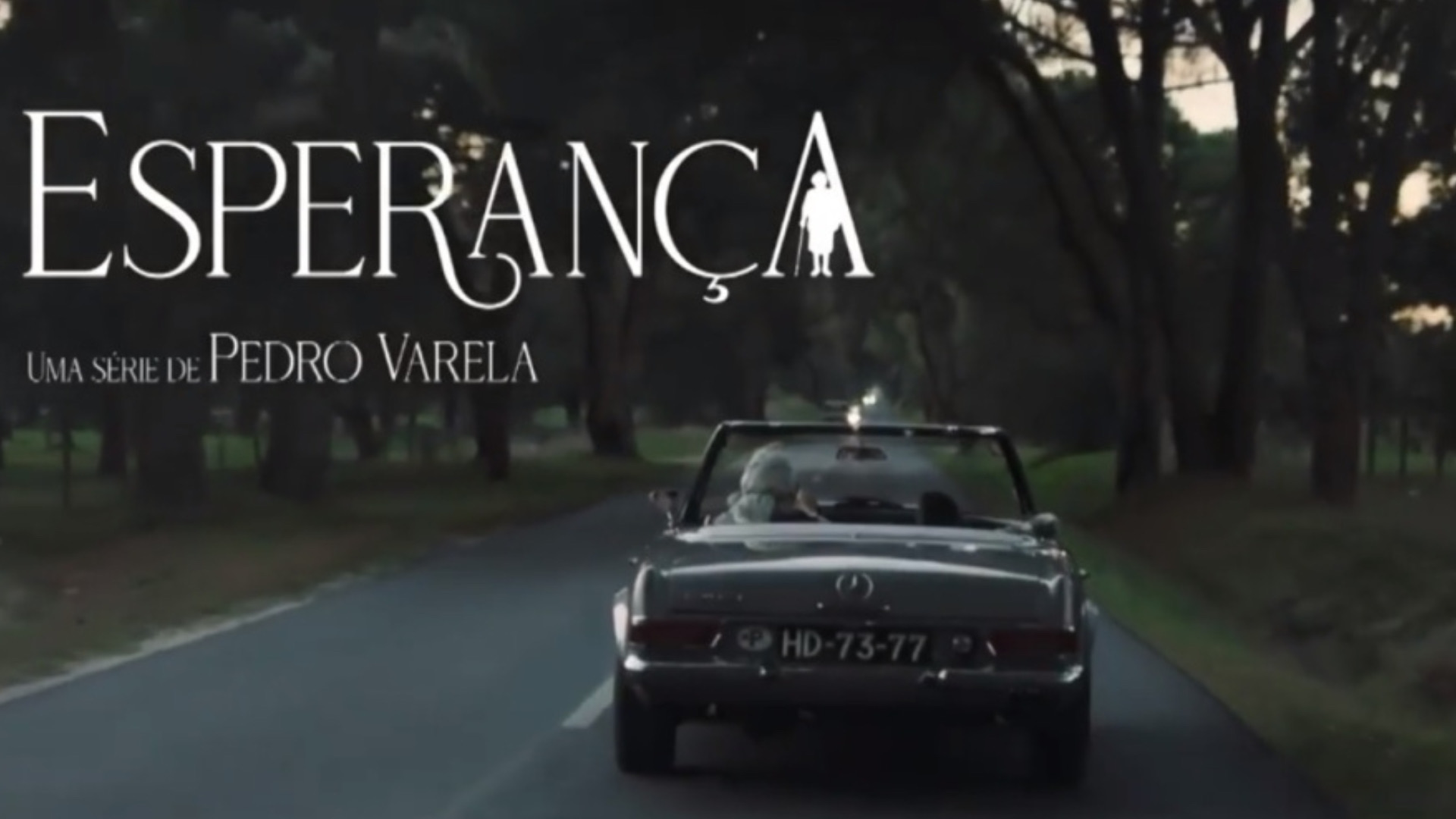 Mrs. Hope series poster