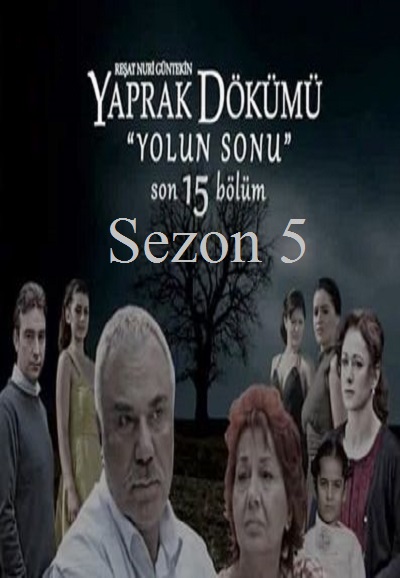 Falling Leaves series poster