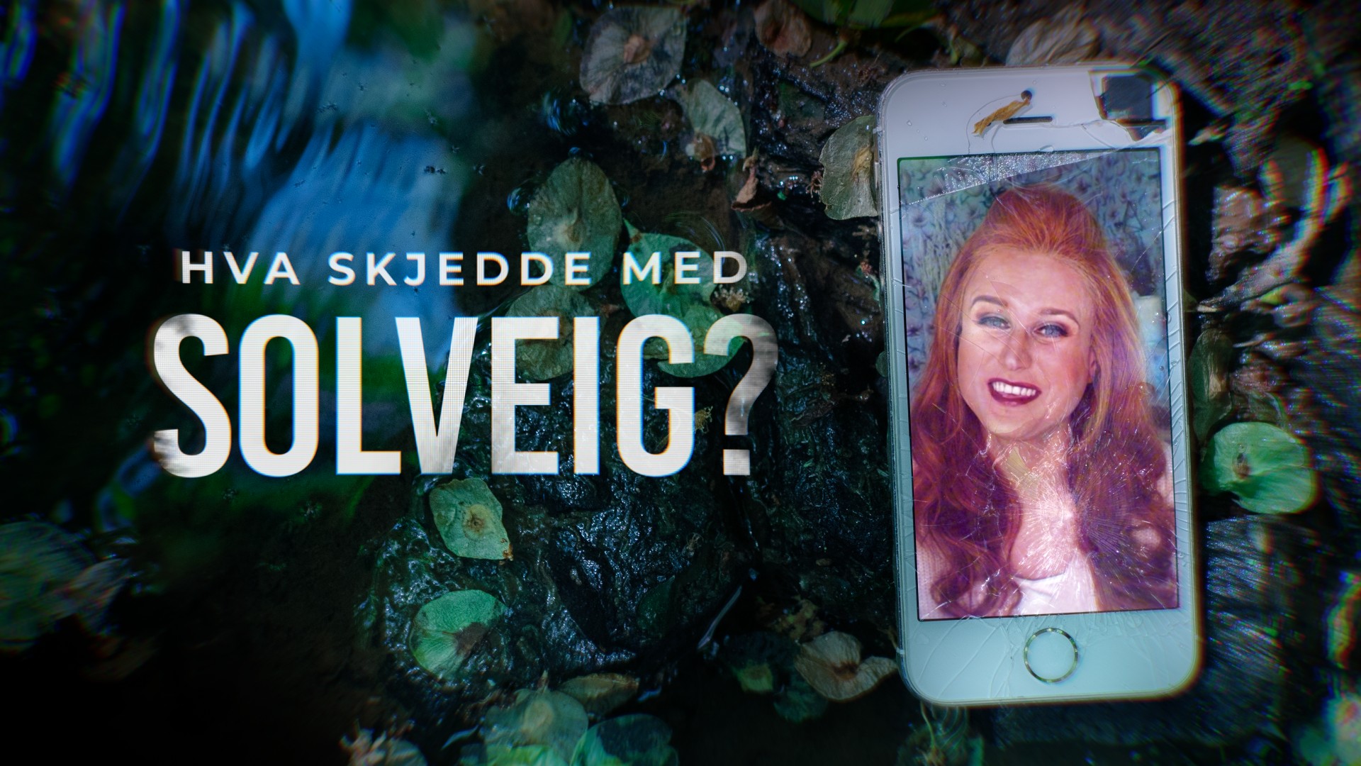 What Happened to Solveig? series poster