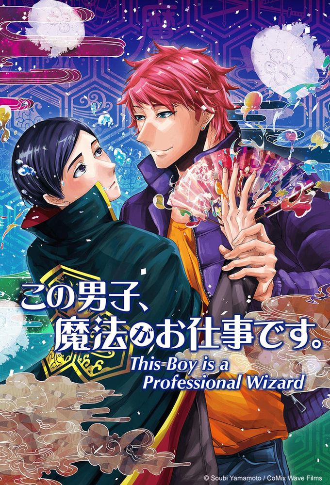 This Boy Is a Professional Wizard series poster