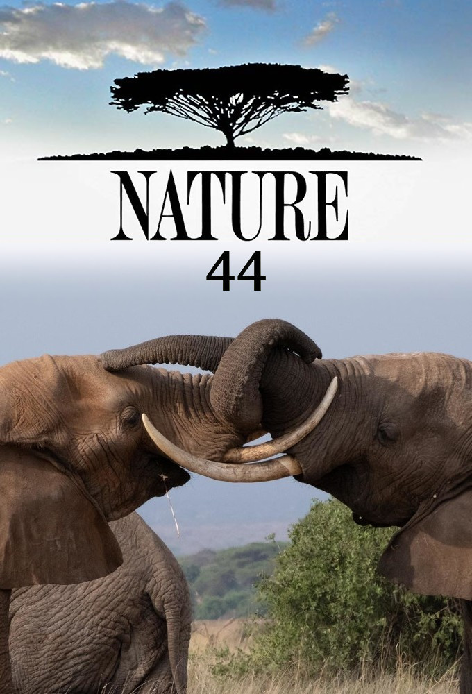 Nature season 44 on PBS
