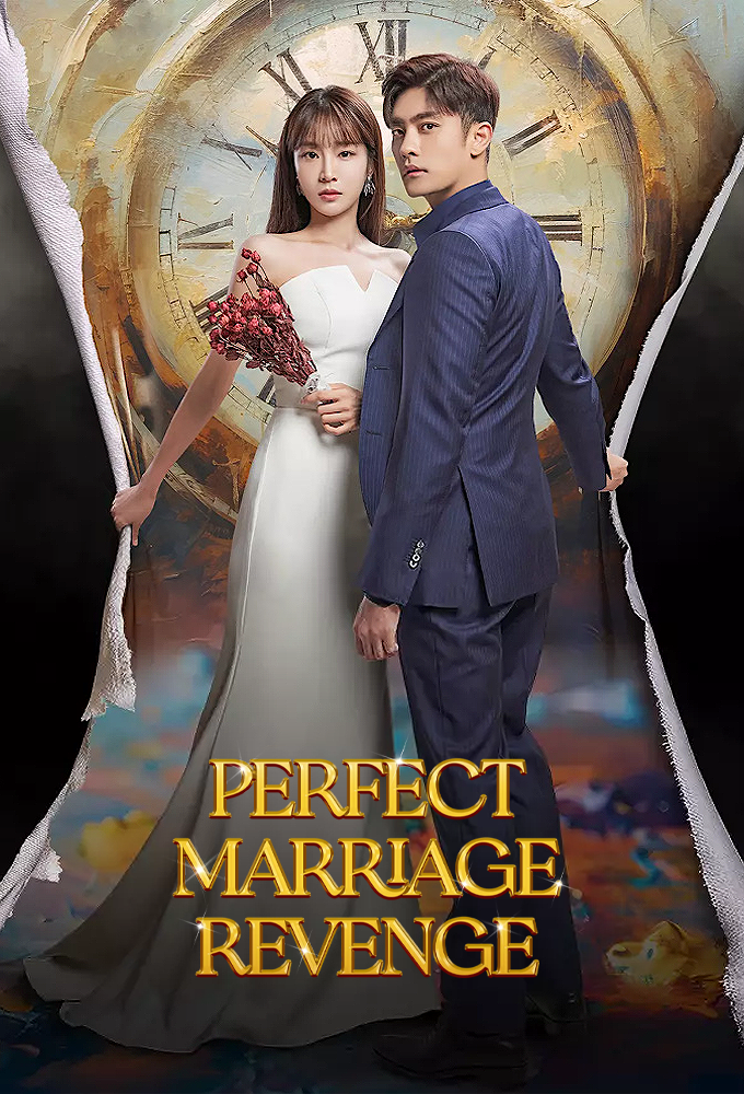Perfect Marriage Revenge series poster