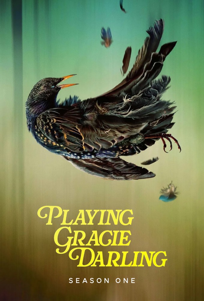 Playing Gracie Darling series poster