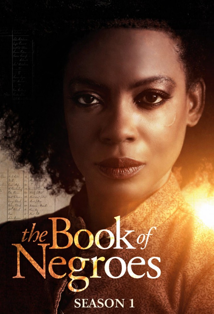 The Book of Negroes series poster