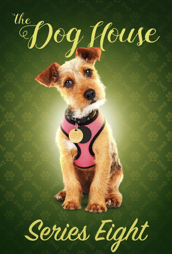The Dog House series poster