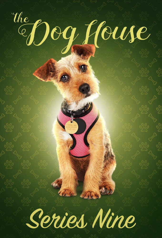 The Dog House season 9 on Channel 4