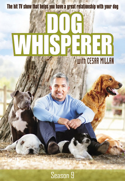 Dog Whisperer series poster