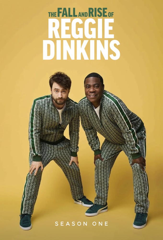The Fall and Rise of Reggie Dinkins series poster