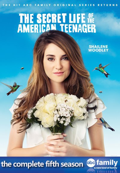 The Secret Life of the American Teenager series poster