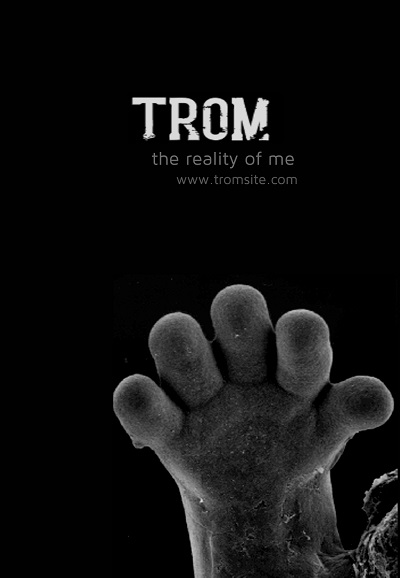 TROM 2.0 (The Reality of Me) series poster