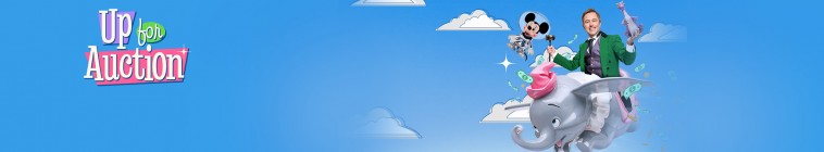 Up for Auction series poster