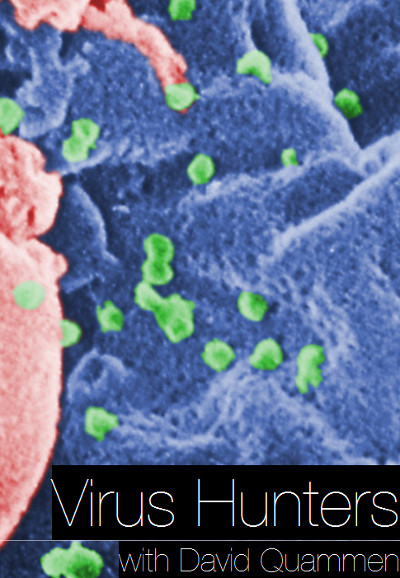 Virus Hunters series poster