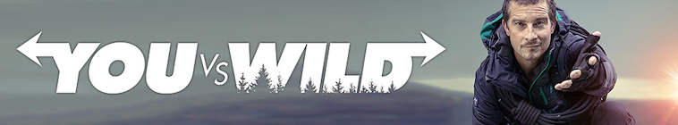 You vs. Wild series poster